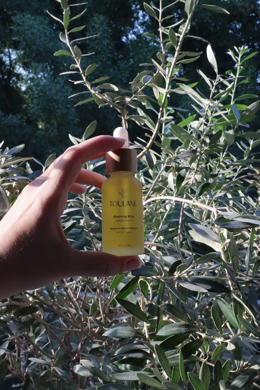 Palestinian Olive Oil in Skincare: What Actually Makes It Different